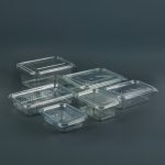 SAM PET trays with lid 7
